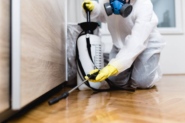 Best Flea Control Services  in Dunes City, OR