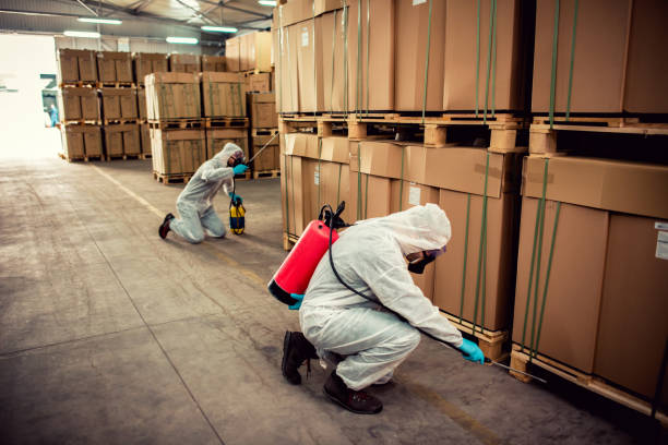 Best Ant Control Services  in Dunes City, OR