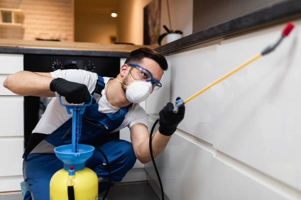 Best Residential Pest Control  in Dunes City, OR